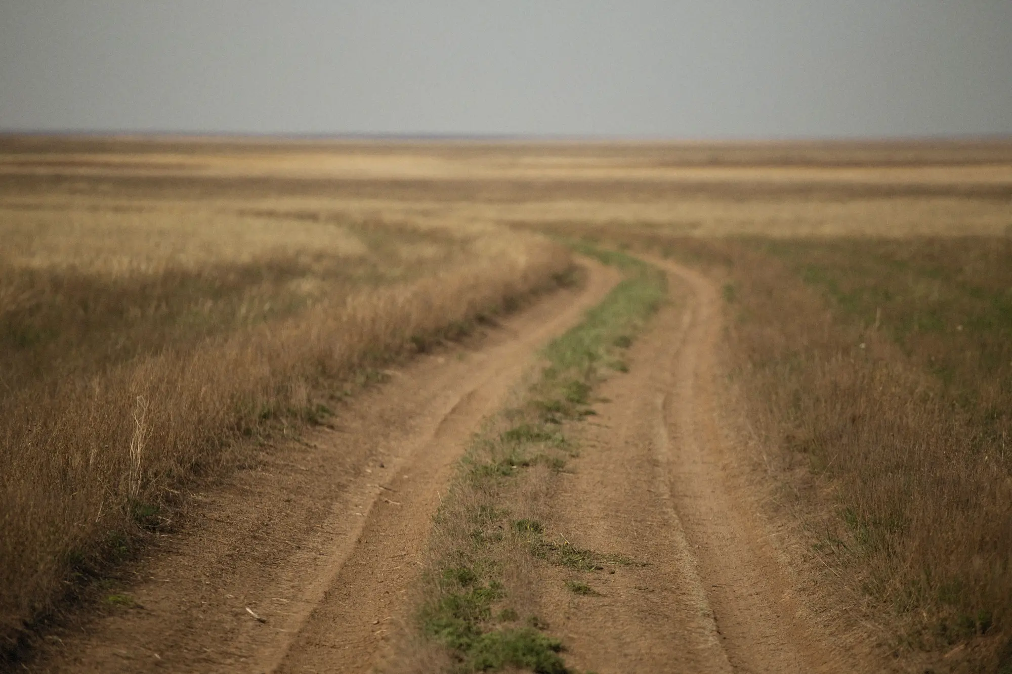 A dirt track running across open dry-season grazing land under a grey sky